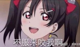 动画穿帮镜头大爆料视频,那些被忽略的细节瞬间